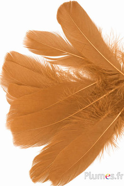 Gans - 11-15 cm - cognac